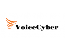 Voice Cyber